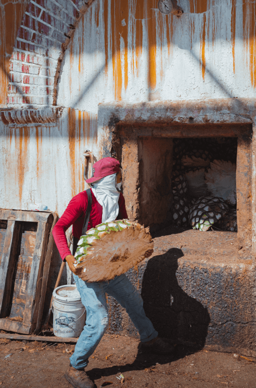 Tequila laya fabricación